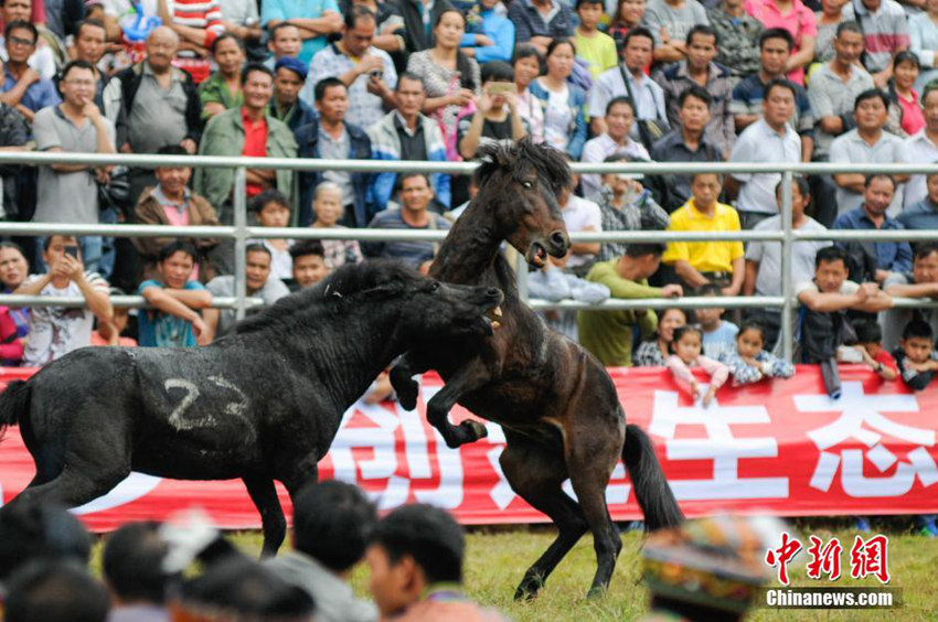 ?? ?? ??? ??, ?? ??? ? ???? ??