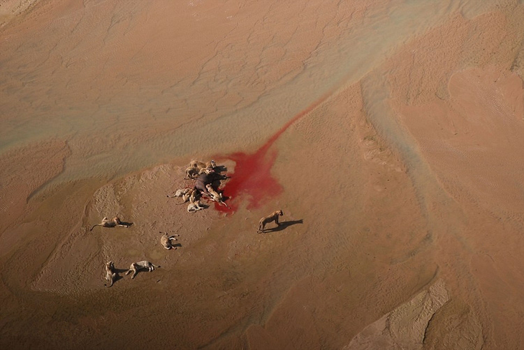 ?? 2015 ???????? ??? ??