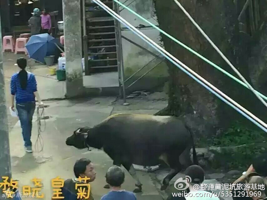 ???, ?? ???? ?? ?? ??…?? ?? ??