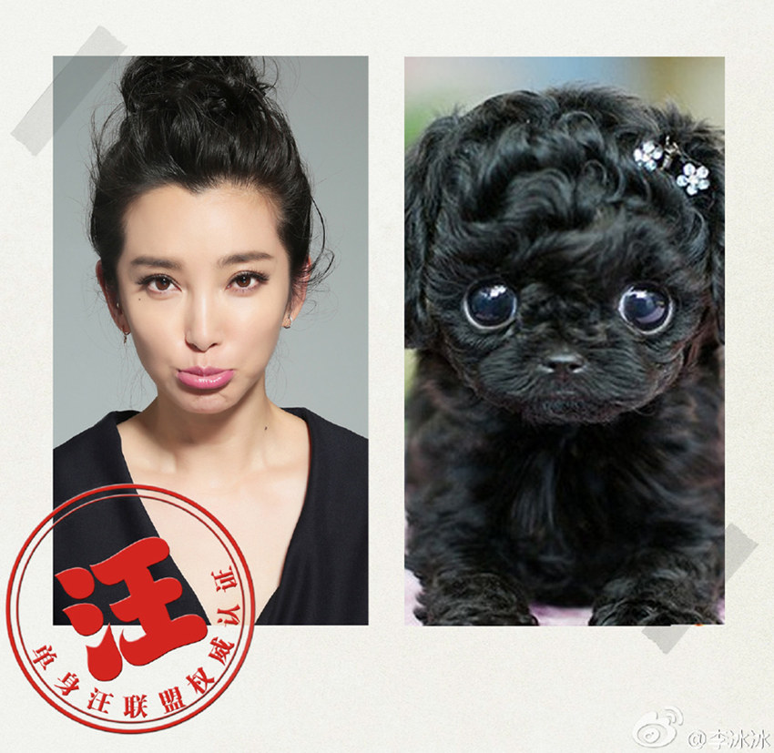 ???, ???? ???? 100% ?? ??…‘??’