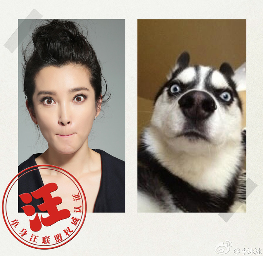 ???, ???? ???? 100% ?? ??…‘??’