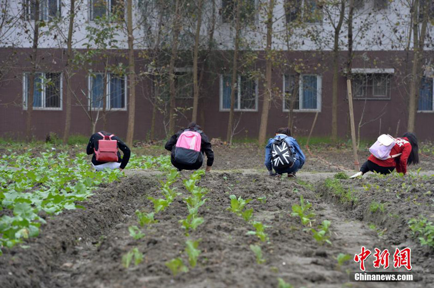 ?? ???? ‘????’? ?? ??, ???? ??