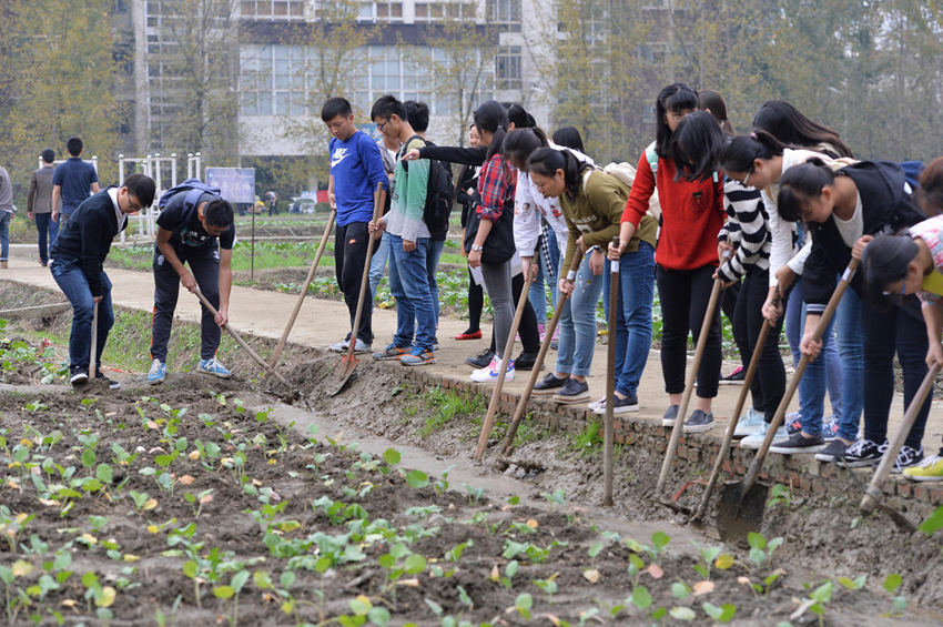 ?? ???? ‘????’? ?? ??, ???? ??