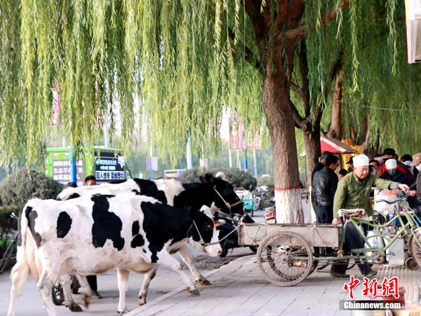 ?? ???? ? ? ?? ??…??? ? ?? ??