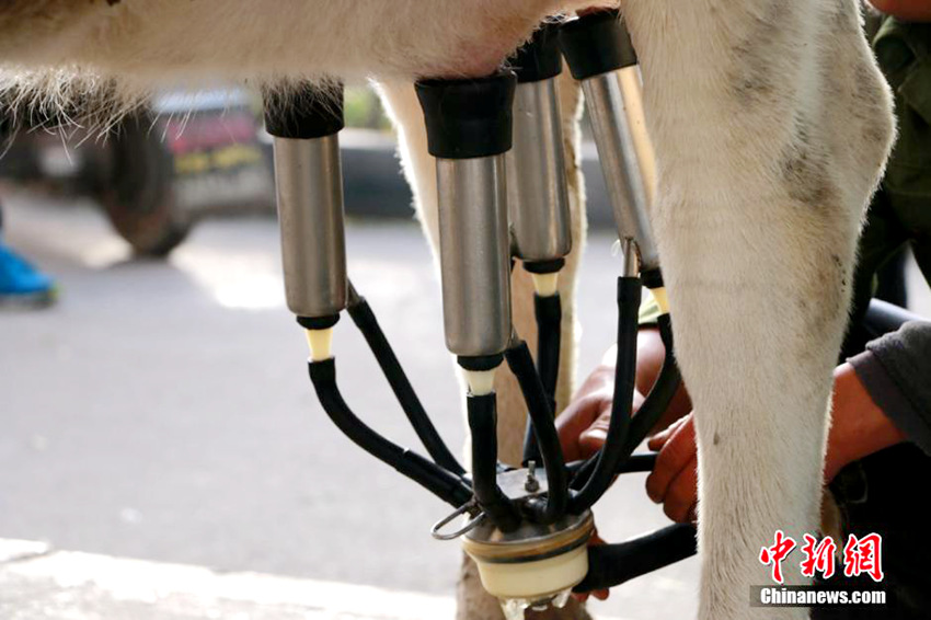 ?? ???? ? ? ?? ??…??? ? ?? ??