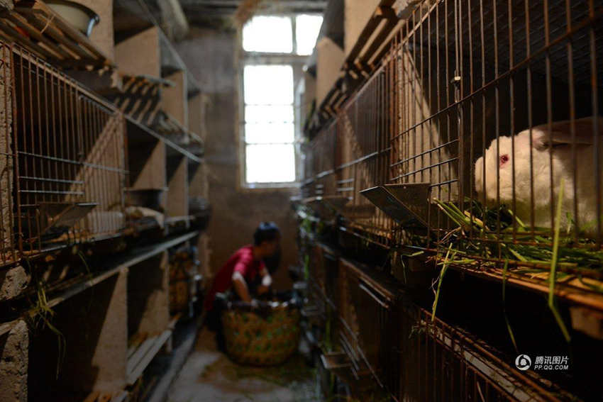 ?? ????? ??, ?? ??? ??? ??