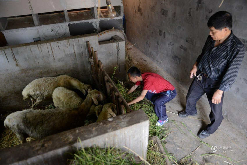 ?? ????? ??, ?? ??? ??? ??