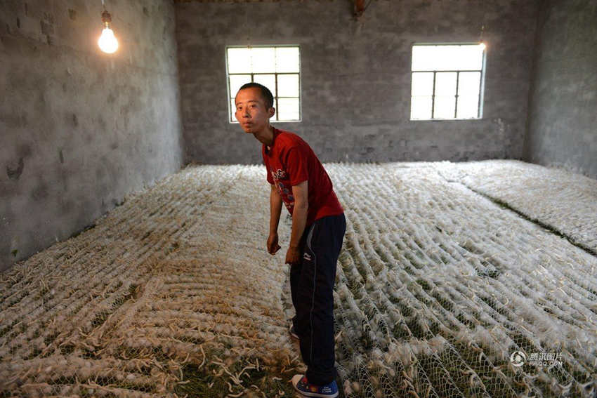 ?? ????? ??, ?? ??? ??? ??