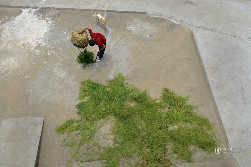 ?? ????? ??, ?? ??? ??? ??