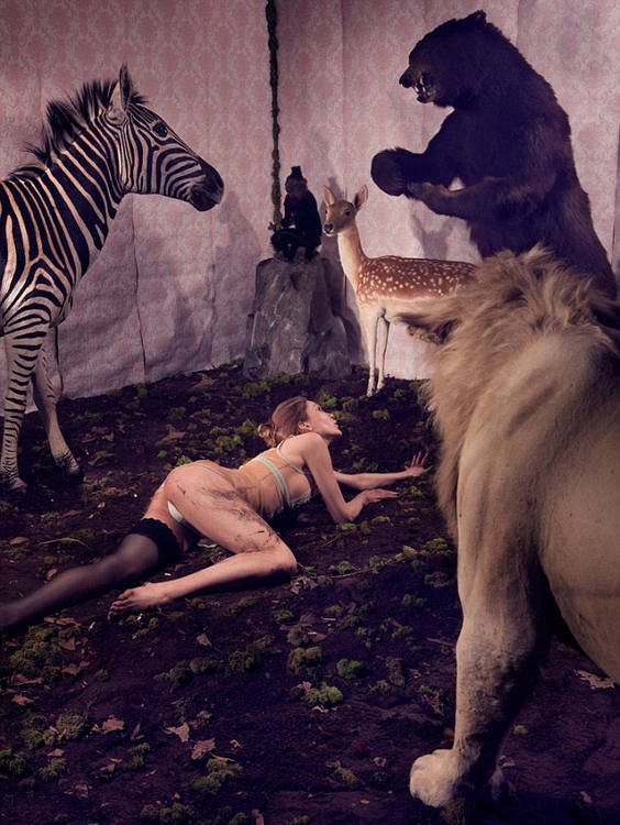 ?? ?? ???, ?????? '?? ???'? ??