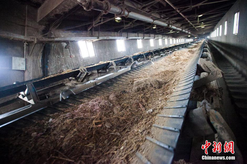 ??? ??? ???, ???? ??????