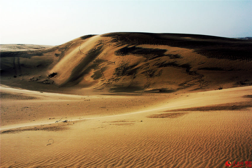 ?? ?? ?? ??, ???? ?? ??