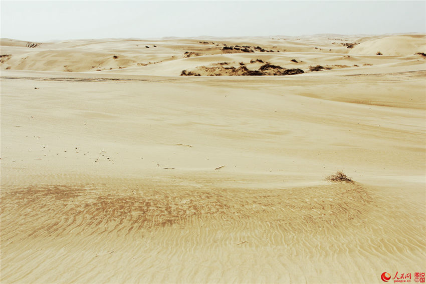 ?? ?? ?? ??, ???? ?? ??