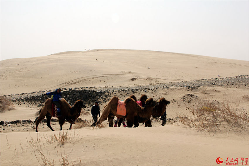 ?? ?? ?? ??, ???? ?? ??