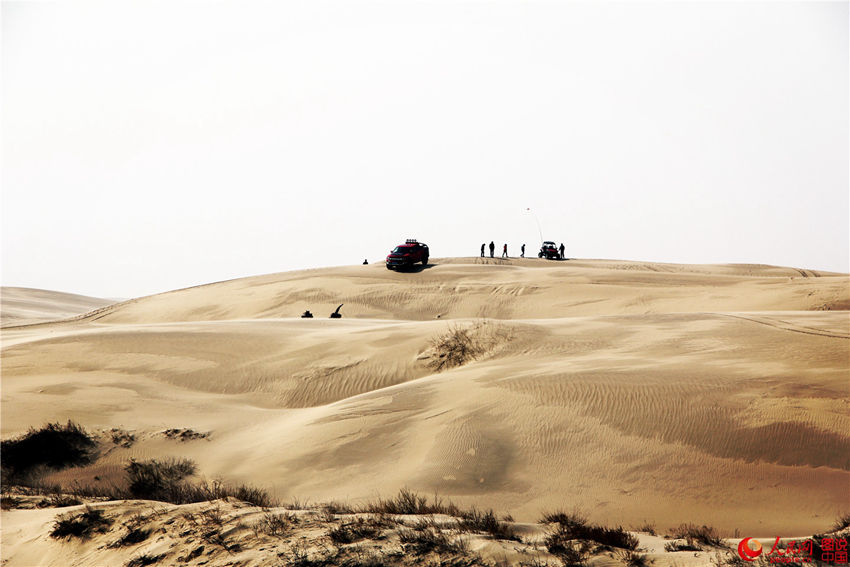 ?? ?? ?? ??, ???? ?? ??