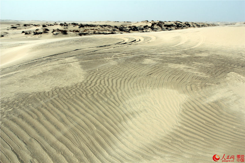 ?? ?? ?? ??, ???? ?? ??