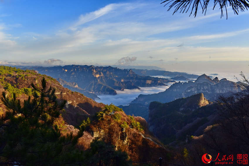 ???? ??? ??? ??, ?? ???? ????