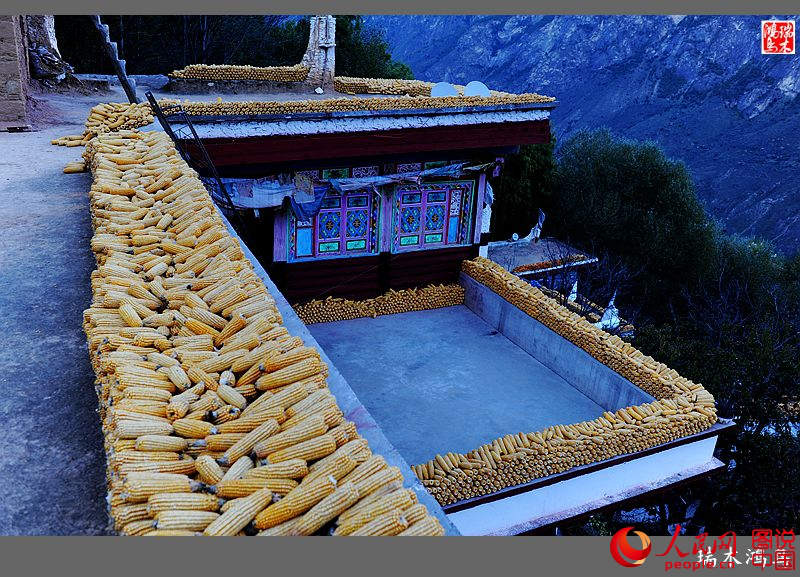 ?? ??? ???? ?? ‘?? ?? ?’