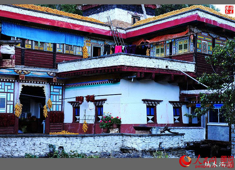 ?? ??? ???? ?? ‘?? ?? ?’