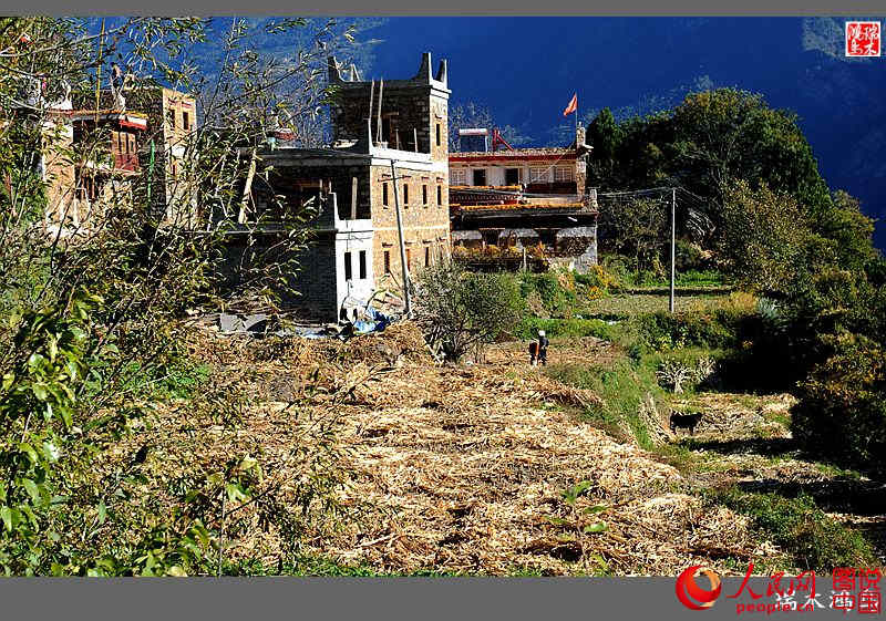 ?? ??? ???? ?? ‘?? ?? ?’