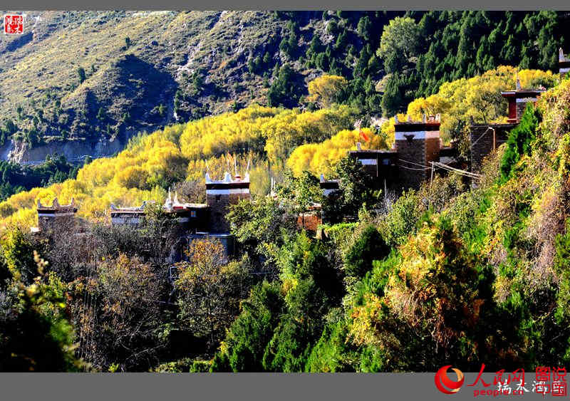 ?? ??? ???? ?? ‘?? ?? ?’