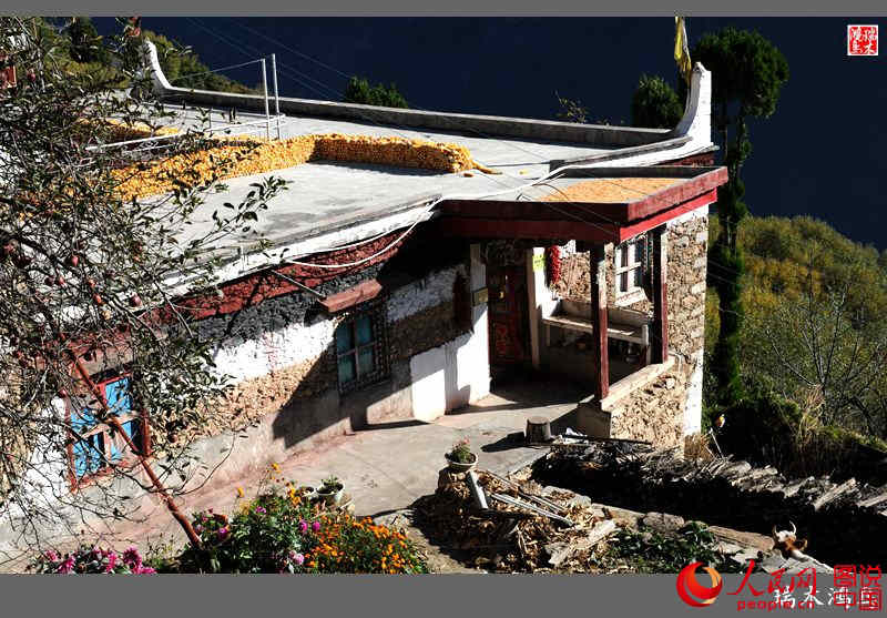 ?? ??? ???? ?? ‘?? ?? ?’