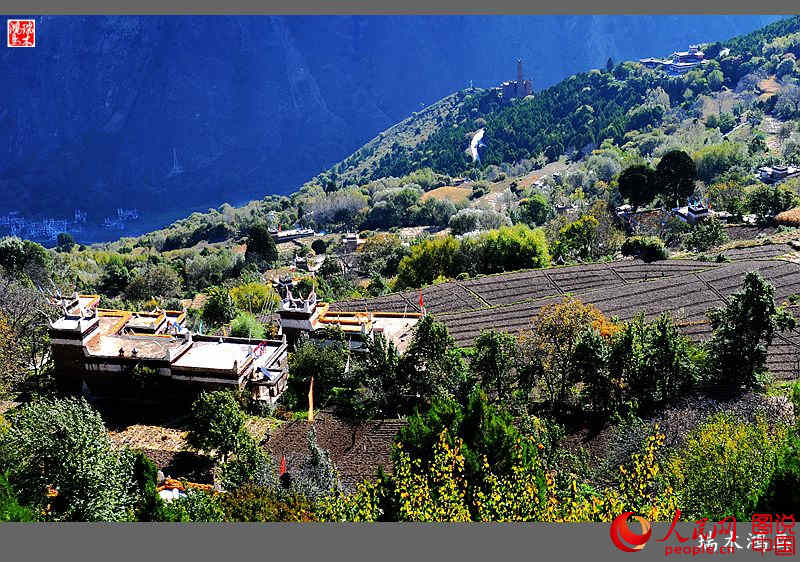 ?? ??? ???? ?? ‘?? ?? ?’