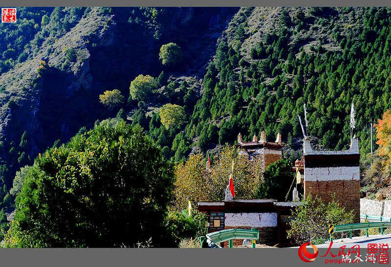 ?? ??? ???? ?? ‘?? ?? ?’