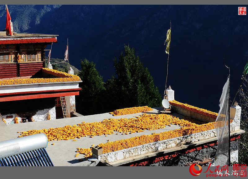 ?? ??? ???? ?? ‘?? ?? ?’