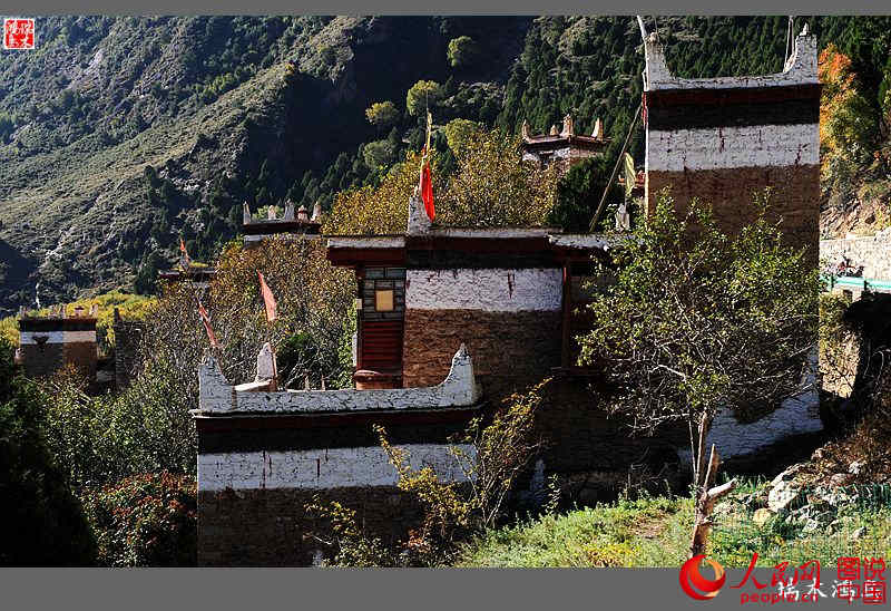 ?? ??? ???? ?? ‘?? ?? ?’