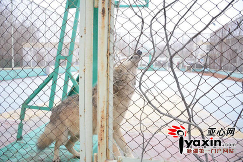 ?? ????? ?? ?? ??, 1?? ?? ??