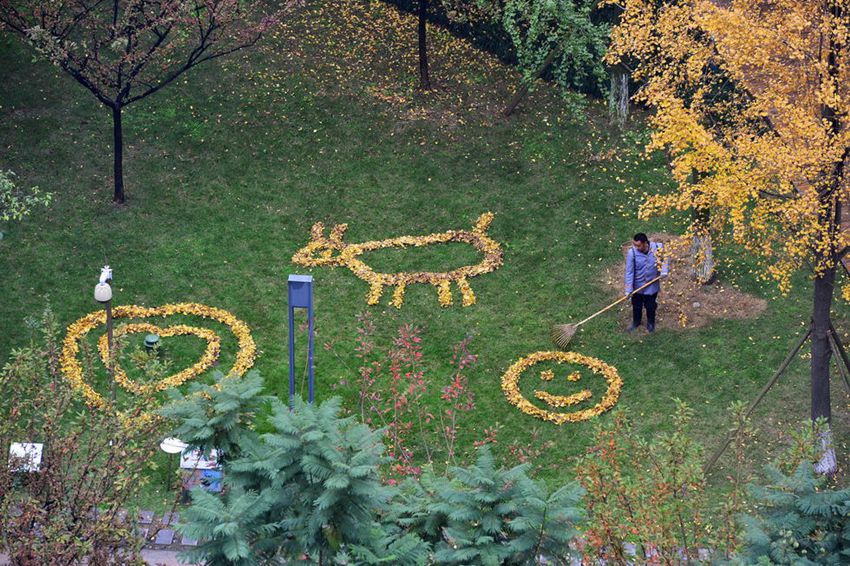 ??? ????, ??? ?? ??? ??? ?? ???