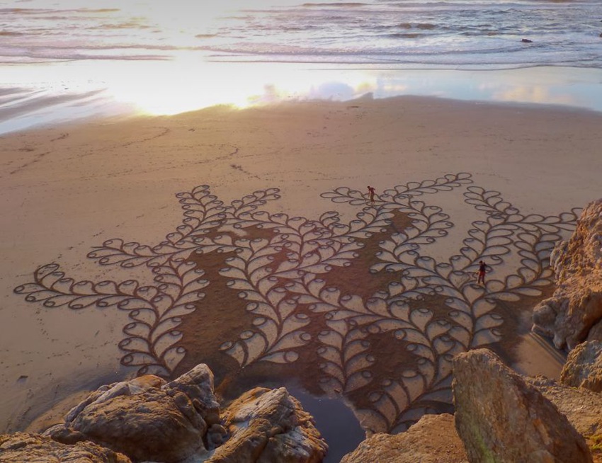 美??? ????, ??? ???? ??