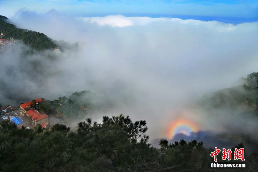 ??? ?? ?? ???, ?? ‘????? ??’