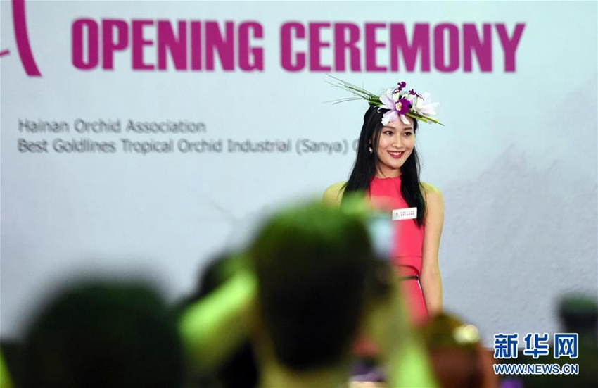 ?? ?? ???, ?? ?? ???? ?? ??!