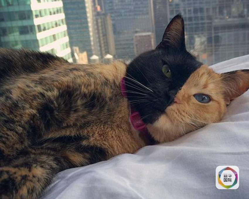 ?? ?? ??? ??? ?? ‘??? ??? ??’ 