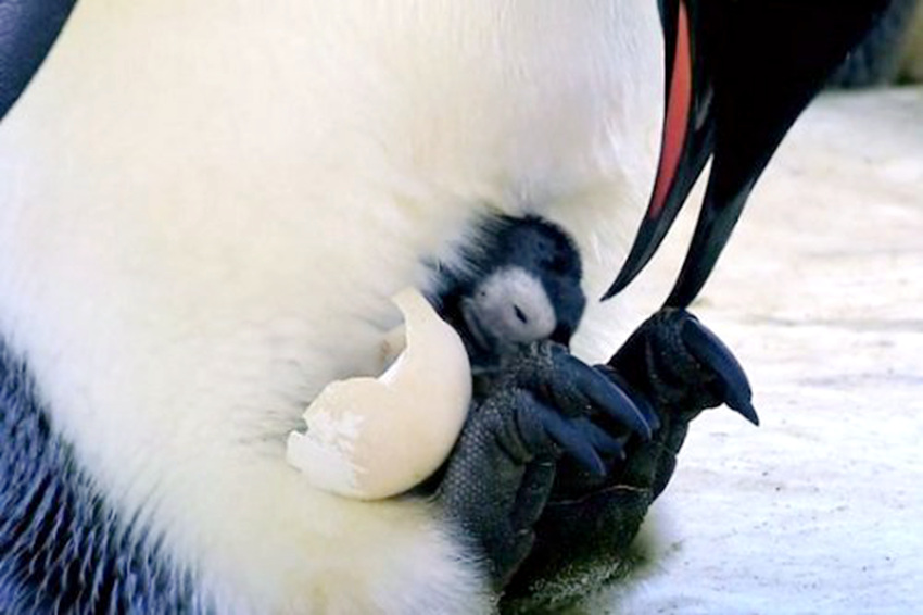 ??? ?? ???? ????? ?? ?? ??