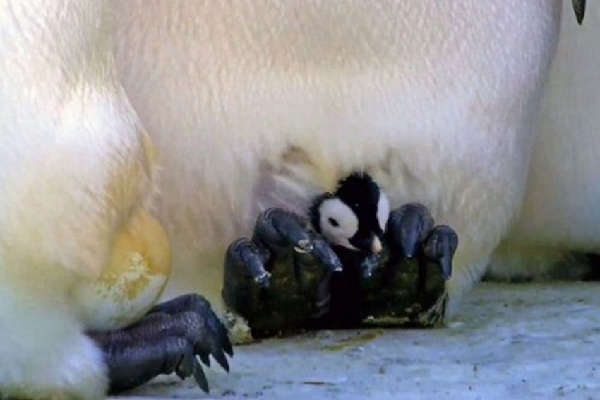 ??? ?? ???? ????? ?? ?? ??