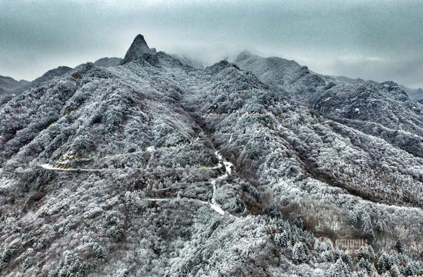 ?? ????? ‘???’ ?? ?? ?? ?? ??