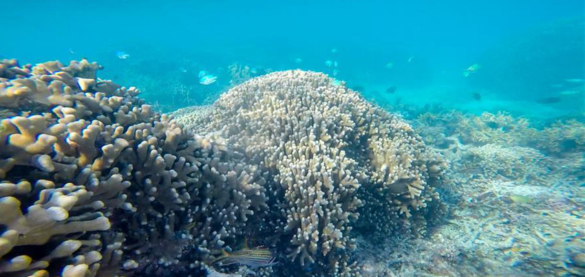 ???? ??? ???? ??? ???(七連嶼) ??