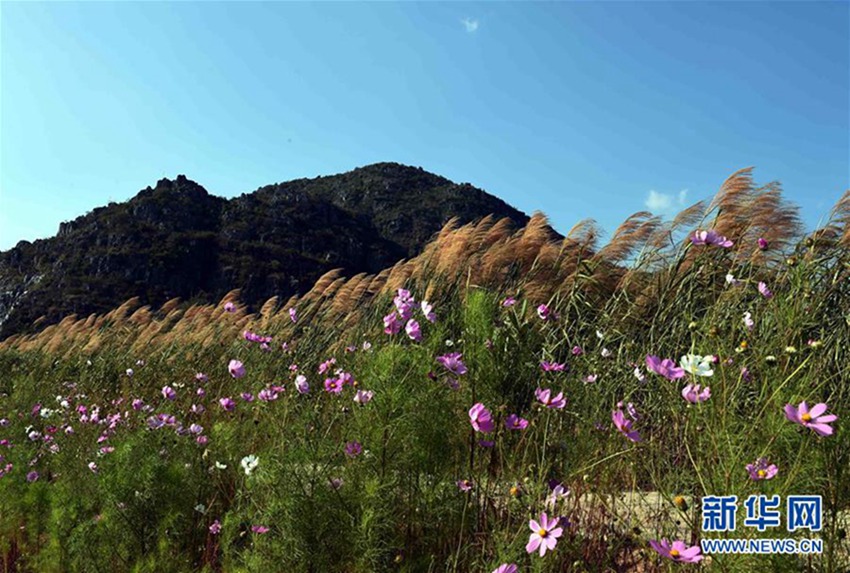 ?? ????(普者黑)? ???? ?? ??