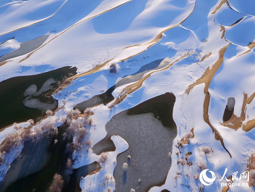 ? ??? ????? ?? ??? ?? ‘?? ??’