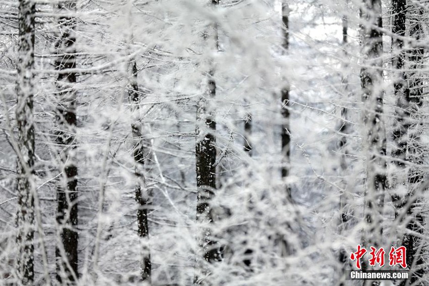 ???? ??????? ??? ??? ?? 