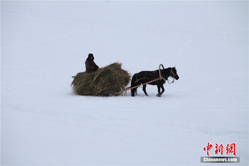 ?? ???? ???? ?? ??? ?, ‘????’