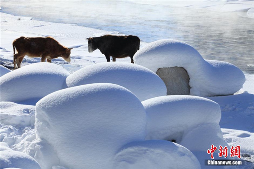 ?? ???? ???? ?? ??? ?, ‘????’