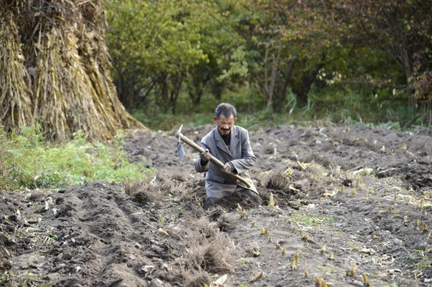 ??? ? ??, ??? ?? ?? 30?? ??