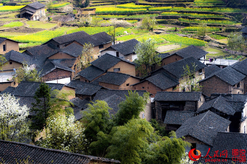 ?? ? ??? ???, ? ?? ? ?? ?? ???