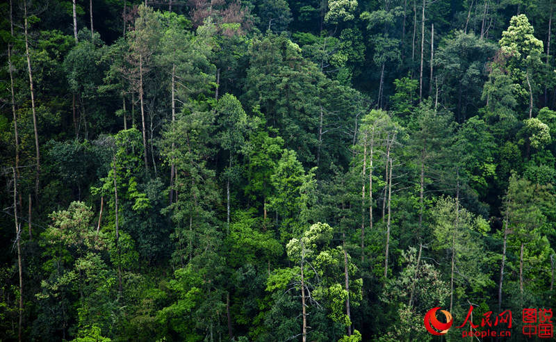 ?? ? ??? ???, ? ?? ? ?? ?? ???