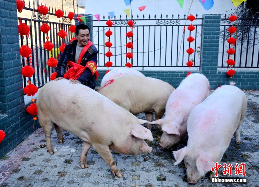 ?? ???? ?? ?? ?? ?? ??