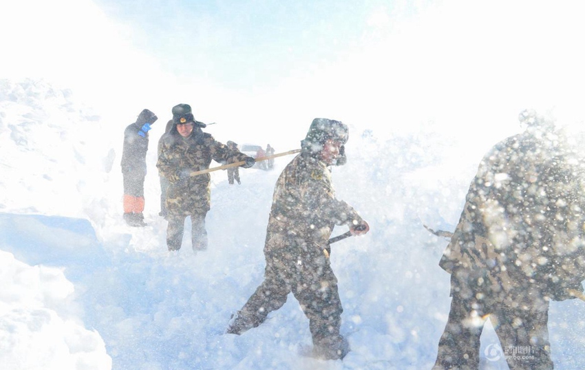 ???? ???? ‘????’ ??, ?? ?? ??